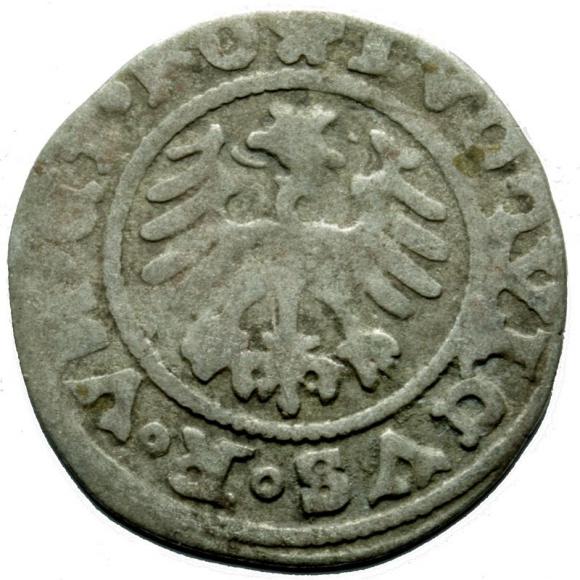 Półgrosz 1526 Ludwik I Jagiellończyk Świdnica
